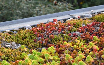 the cost of Monnington On Wye green roof installation