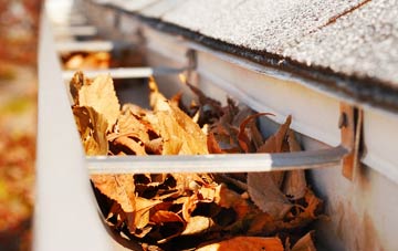 Monnington On Wye gutter cleaning companies