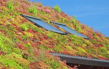Monnington On Wye living roof systems